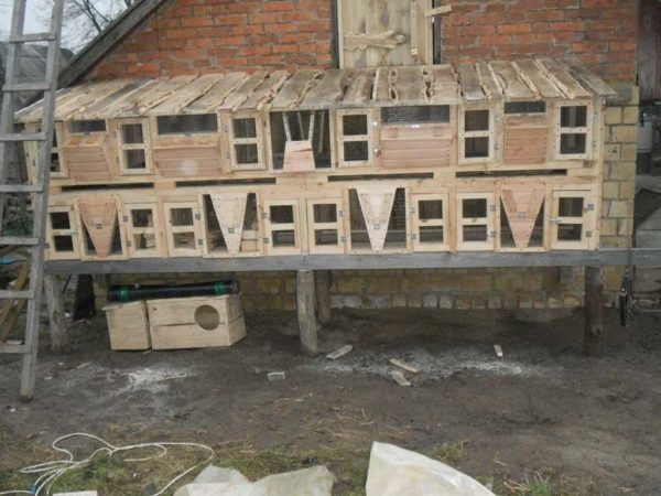 Как сделать крольчатник Как сделать крольчатник