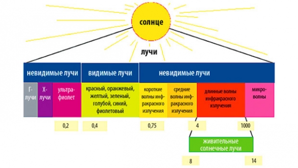 Инфракрасная пленка для отопления: преимущества, область применения и монтаж Инфракрасная пленка для отопления: преимущества, область применения и монтаж