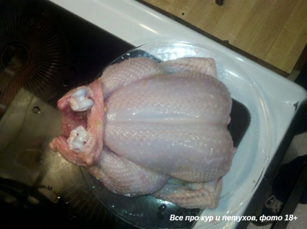 Как ощипать и разделать курицу в домашних условиях