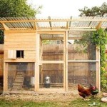 Как построить курятник на лето с выгулом