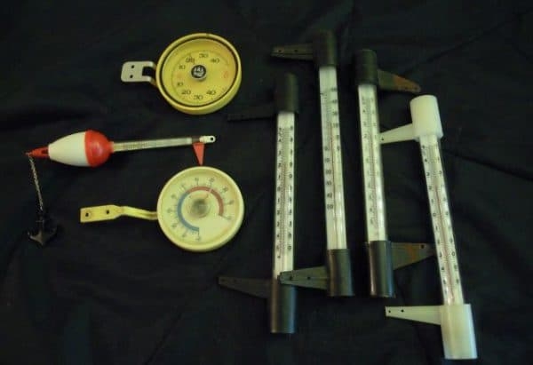 Хранение черенков яблони в домашних условиях до посадки