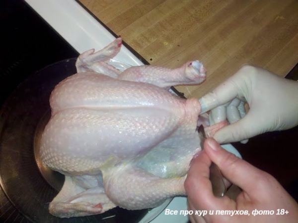 Как ощипать и разделать курицу в домашних условиях