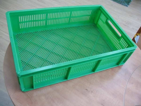 О перевозке цыплят в Таджикистан