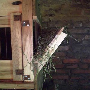 Как сделать крольчатник Как сделать крольчатник