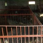 Как построить свинарник самостоятельно Как построить свинарник самостоятельно