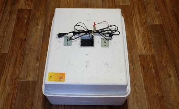 Где купить яйца кур мини-пород и почему инкубатор течет ?