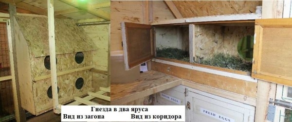 Курятник внутри: что необходимо и как сделать Курятник внутри: что необходимо и как сделать