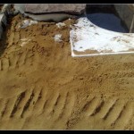 Как сделать пруд на даче, в саду, возле дома Как сделать пруд на даче, в саду, возле дома