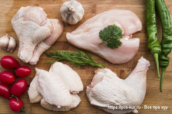 Мясо курицы – преимущества и недостатки