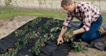 Что такое спанбонд: свойства и применение Что такое спанбонд: свойства и применение