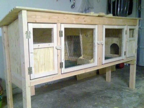 Как сделать крольчатник Как сделать крольчатник