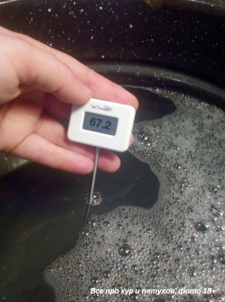 Как ощипать и разделать курицу в домашних условиях