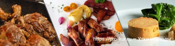 Муларды — выращивание в домашних условиях, кормление