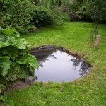 Как сделать пруд на даче, в саду, возле дома Как сделать пруд на даче, в саду, возле дома