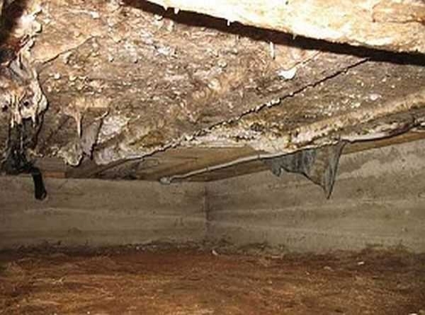 Как высушить погреб: избавиться от сырости, конденсата, плесени Как высушить погреб: избавиться от сырости, конденсата, плесени