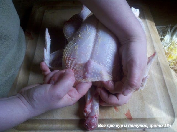 Как ощипать и разделать курицу в домашних условиях