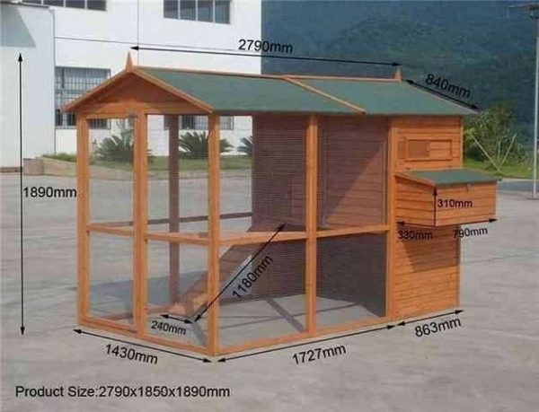 Как построить птичник на 10-20 кур своими руками