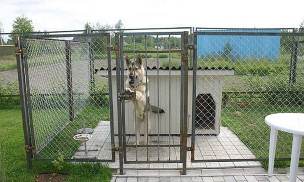 Как построить вольер для собаки своими руками