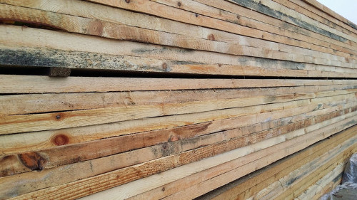 Синева на дереве: причины появления, опасность, методы избавления Синева на дереве: причины появления, опасность, методы избавления