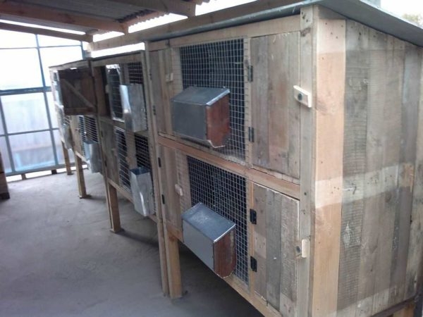 Как сделать крольчатник Как сделать крольчатник