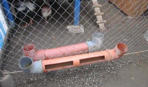 Курятник внутри: что необходимо и как сделать Курятник внутри: что необходимо и как сделать