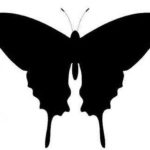 Трафареты бабочек для декора