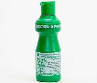 Обработка смородины Фитоспорином: инструкцию по применению Обработка смородины Фитоспорином: инструкцию по применению