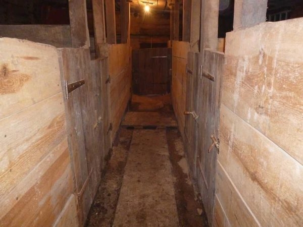 Как построить свинарник самостоятельно Как построить свинарник самостоятельно