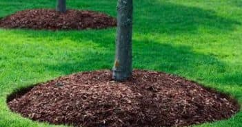 Что такое лутрасил: новое слово в укрывных материалах