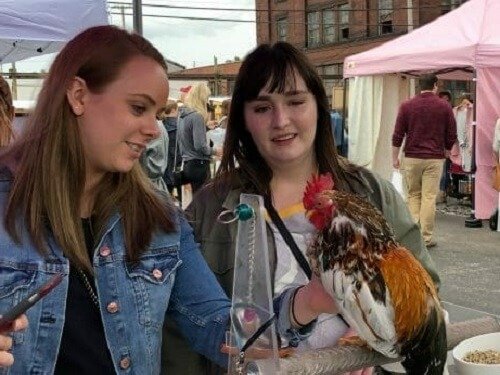 Петух Уинстон первый сертифицированный терапевт