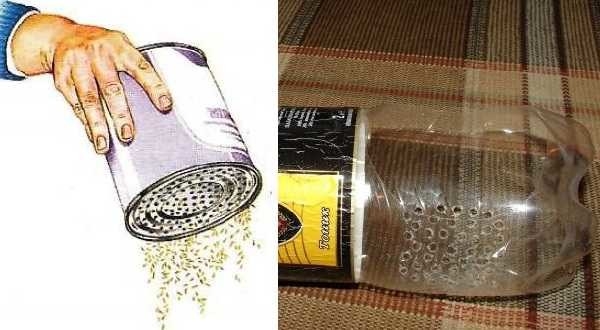 Как сделать газон: виды, подготовка, посадка, уход Как сделать газон: виды, подготовка, посадка, уход