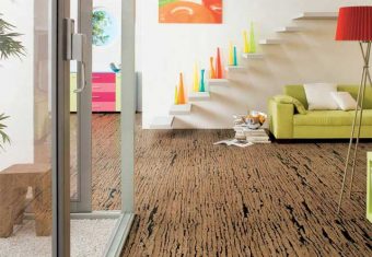 Пробковый ламинат: конструктивные особенности, преимущества, нюансы монтажа Пробковый ламинат: конструктивные особенности, преимущества, нюансы монтажа