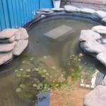 Как сделать пруд на даче, в саду, возле дома Как сделать пруд на даче, в саду, возле дома