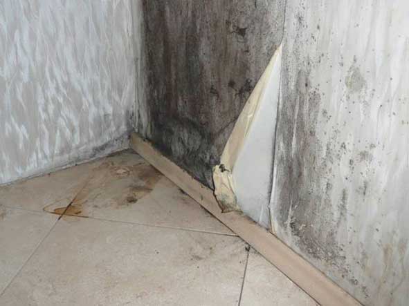 Вентиляция жилых зданий: схемы и нормативные требования Вентиляция жилых зданий: схемы и нормативные требования