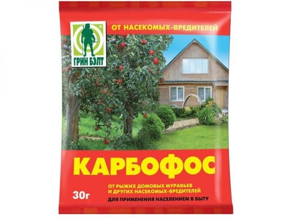 8 химических и 13 народных препаратов от болезней и вредителей для смородины