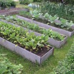 Декоративный огород: делаем красивые грядки — 60 фото Декоративный огород: делаем красивые грядки — 60 фото