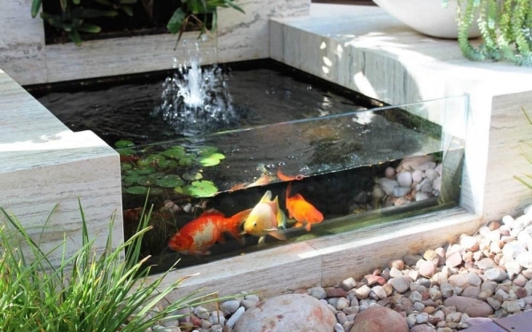 Как подготовить дачный водоём к зиме Как подготовить дачный водоём к зиме