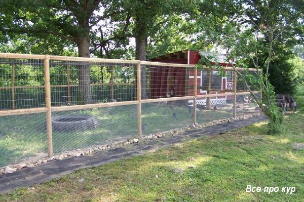 Большой курятник из целых поддонов своими руками Большой курятник из целых поддонов своими руками