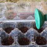 Как сделать парник: 8 конструкций и море идей Как сделать парник: 8 конструкций и море идей