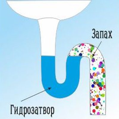 Запах из раковины на кухне &ndash; почему он возникает и как его устранить