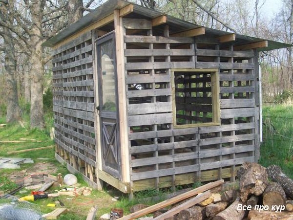 Большой курятник из целых поддонов своими руками Большой курятник из целых поддонов своими руками
