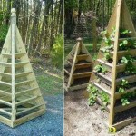 Декоративный огород: делаем красивые грядки — 60 фото Декоративный огород: делаем красивые грядки — 60 фото