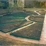 Декоративный огород: делаем красивые грядки — 60 фото Декоративный огород: делаем красивые грядки — 60 фото