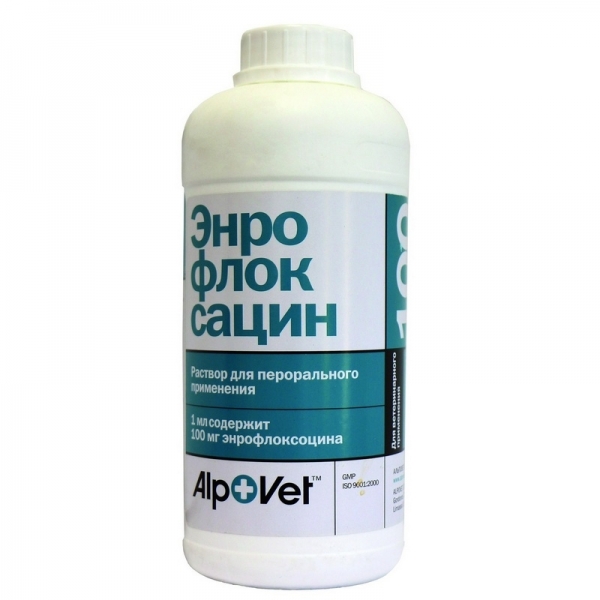 Энрофлоксацин — эффективный антибиотик для цыплят Энрофлоксацин — эффективный антибиотик для цыплят