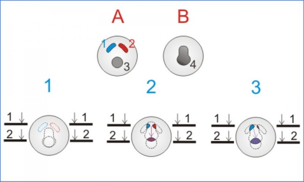 Устройство крана-смесителя для кухни и его ремонт своими руками