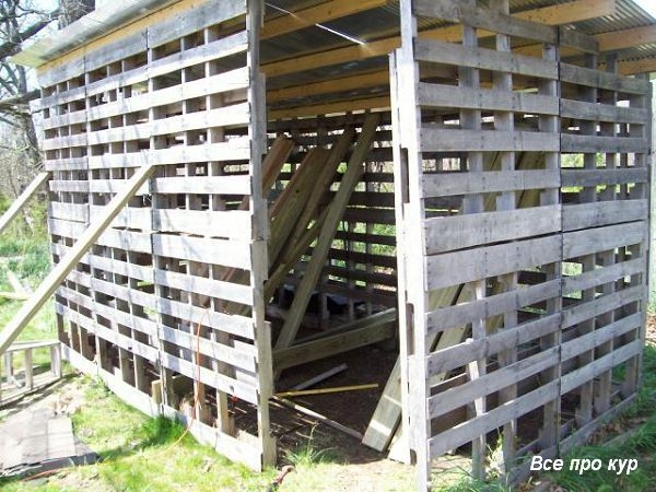 Большой курятник из целых поддонов своими руками Большой курятник из целых поддонов своими руками