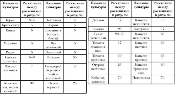 Огород для ленивых и умных: как сделать удобные и урожайные грядки Огород для ленивых и умных: как сделать удобные и урожайные грядки