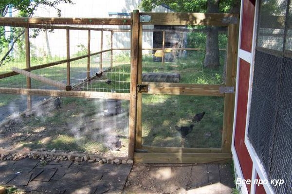 Большой курятник из целых поддонов своими руками Большой курятник из целых поддонов своими руками