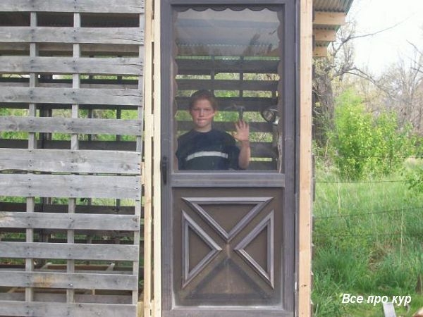 Большой курятник из целых поддонов своими руками Большой курятник из целых поддонов своими руками