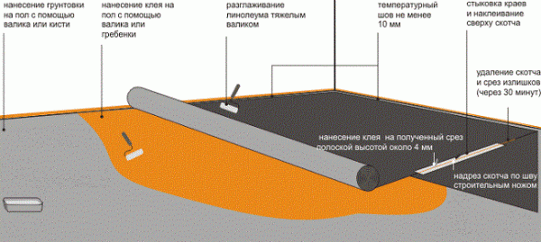 Как уложить линолеум на бетонный пол: варианты монтажа Как уложить линолеум на бетонный пол: варианты монтажа